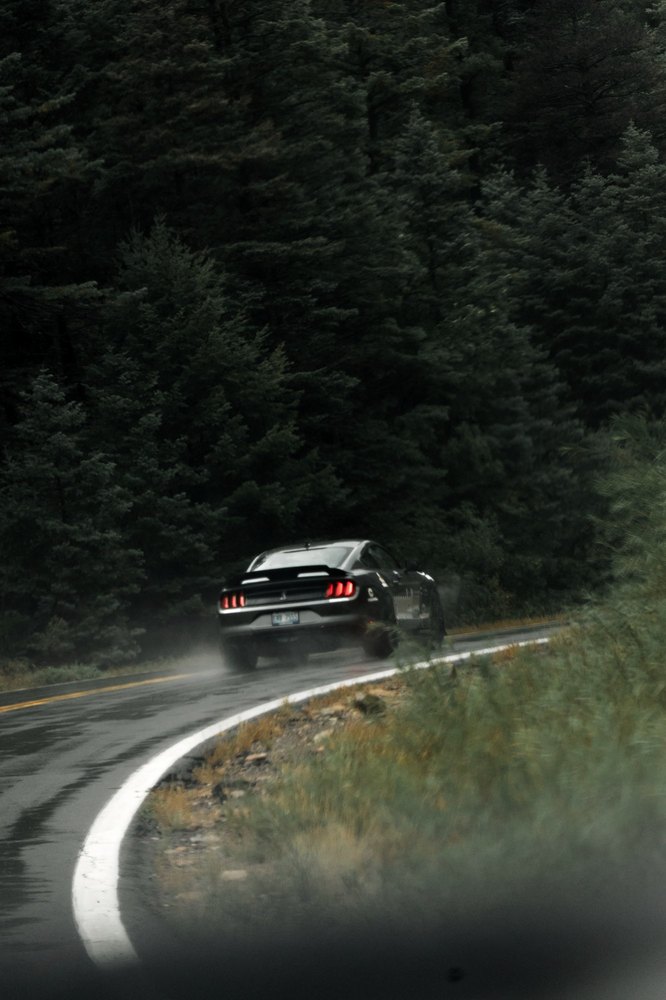 A dark coupe takes a wet bend through pine forest